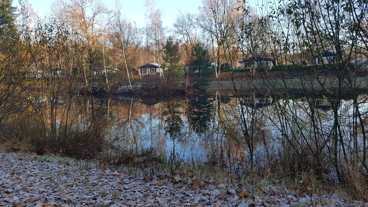 Marry's boshuisje Dalfsen Eksteriør bilde